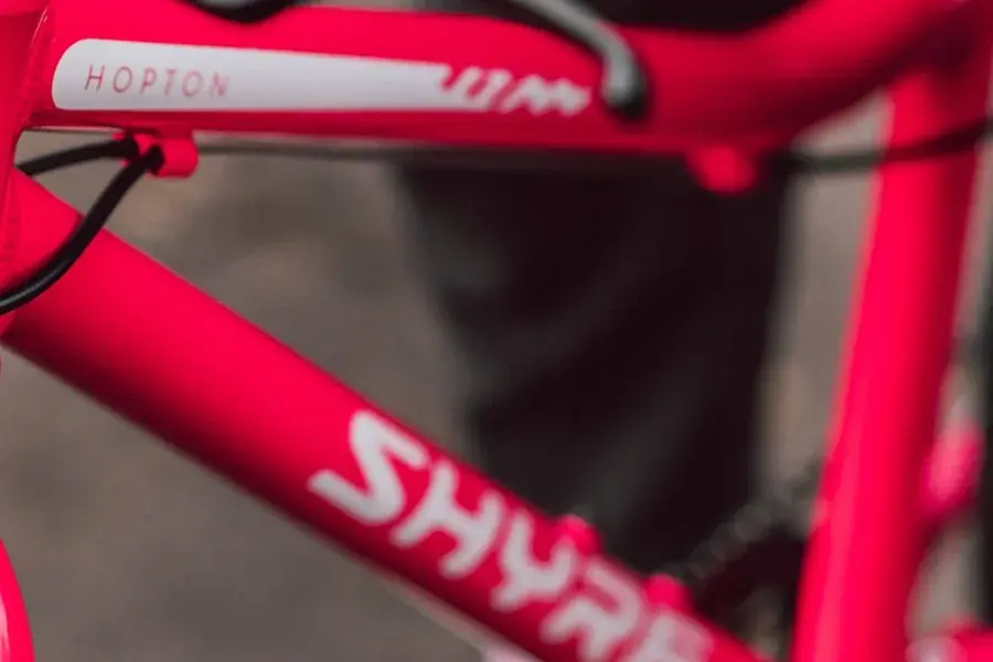 Close-up of a pink Shyre Hopton head tube